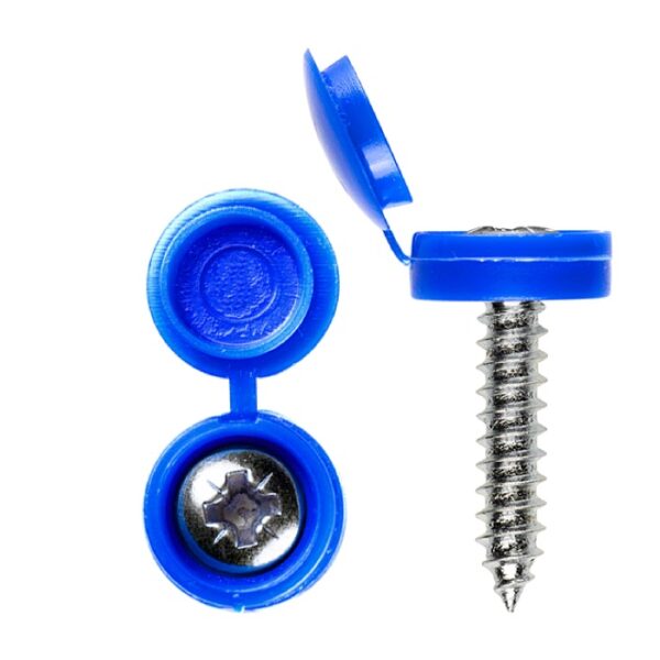 Screws with Blue Caps - Closeup