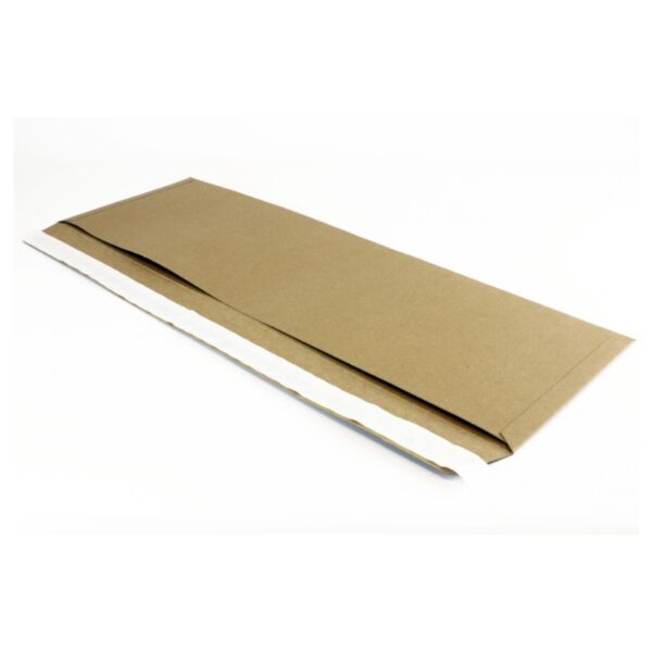 25 Oblong Card Envelopes