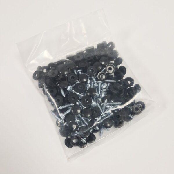 100-Screws-with-Black-Caps 100 Screws with Black Caps
