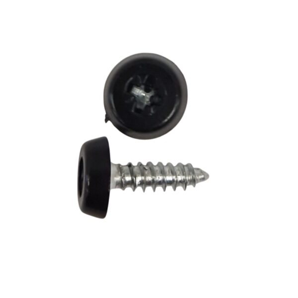 Black Polytop Screws
